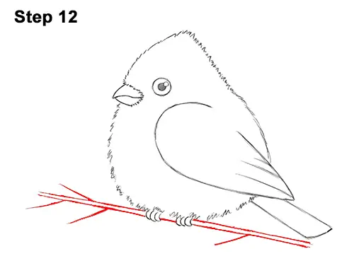 How to Draw Cute Little Cartoon Red Cardinal Snow Berries 12