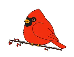 How to Draw a Red Cartoon Cardinal Snow Berries