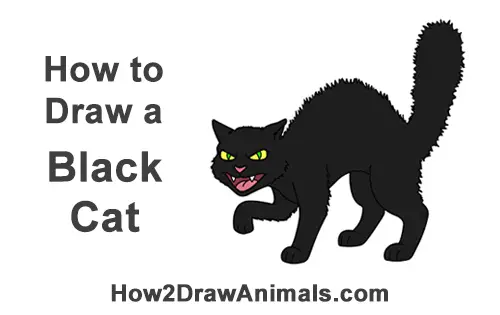 How to Draw Angry Mean Halloween Cartoon Black Cat arched back