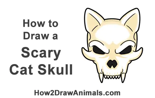 How to Draw Scary Cartoon Cat Skull Halloween