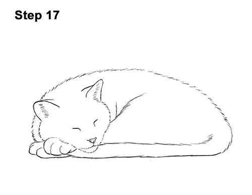 Top How To Draw A Realistic Sleeping Cat of the decade Check it out now 