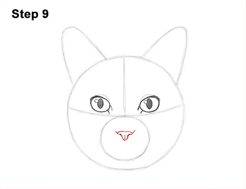 How to Draw a Tabby Cat (Head Detail) VIDEO & Step-by-Step Pictures
