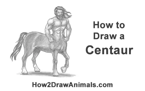 How to Draw a Centaur Horse Human Mythology
