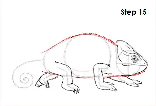 Chameleon Drawing 15 Draw Chameleon 15