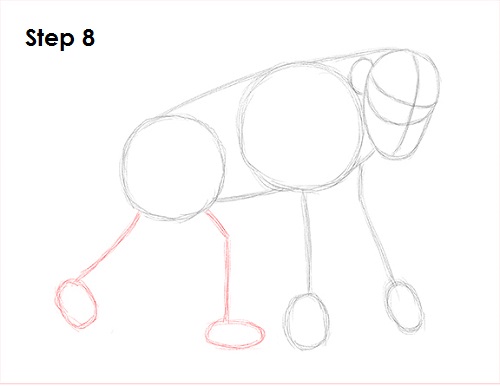 Chimpanzee Drawing 8 Draw Chipmanzee 8