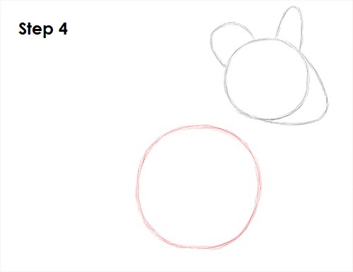 Chinchilla Drawing 4 Draw Chinchilla 4