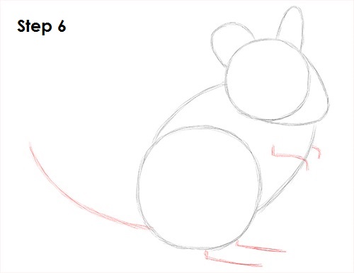 How to Draw a Chinchilla