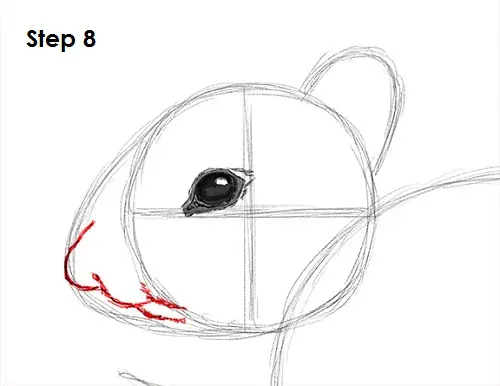 Draw Chipmunk 8