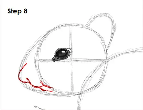 Chipmunk Drawing 8 Draw Chipmunk 8