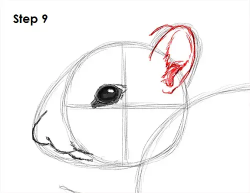 Chipmunk Drawing 9 Draw Chipmunk 9
