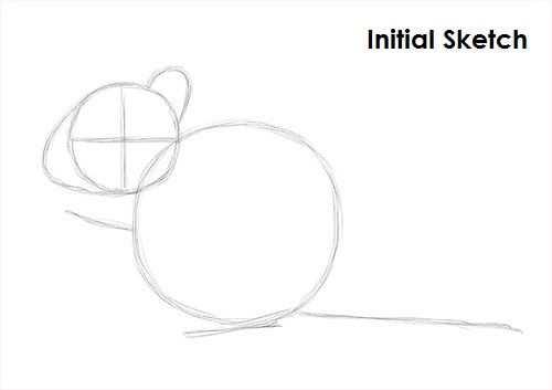 Draw Chipmunk Sketch
