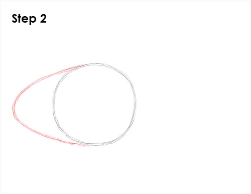 Clownfish Drawing 2 Draw Clownfish 2