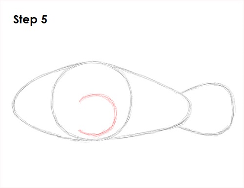 Clownfish Drawing 5 Draw Clownfish 5