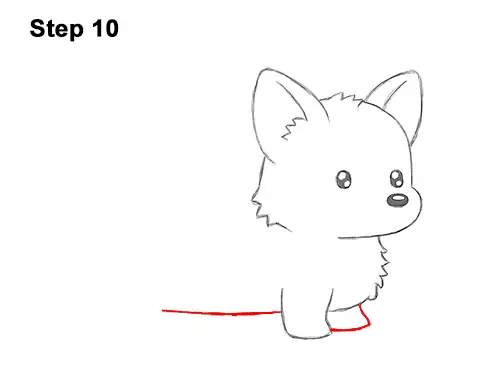 How to Draw Cute Cartoon Corgi Puppy Dog Chibi Kawaii 10