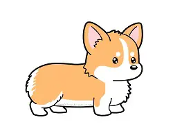 How to draw a Cute Cartoon Corgi Dog