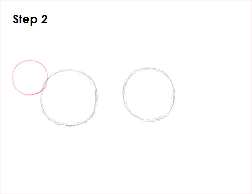 Cougar Cat Drawing 2 Draw Cougar Cat 2