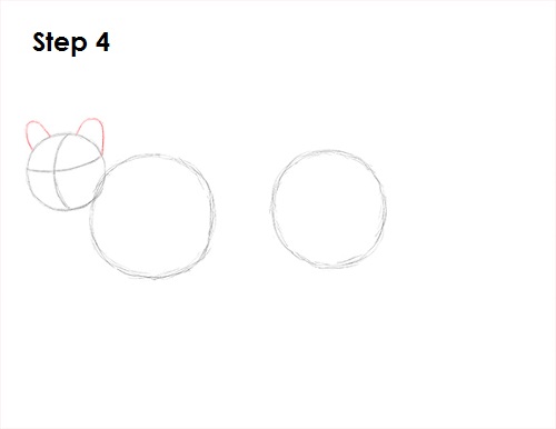 Cougar Cat Drawing 4 Draw Cougar Cat 4