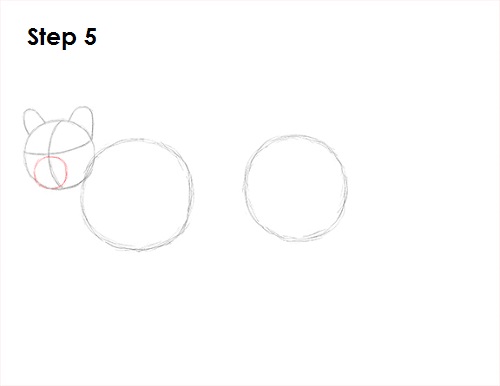 Cougar Cat Drawing 5 Draw Cougar Cat 5