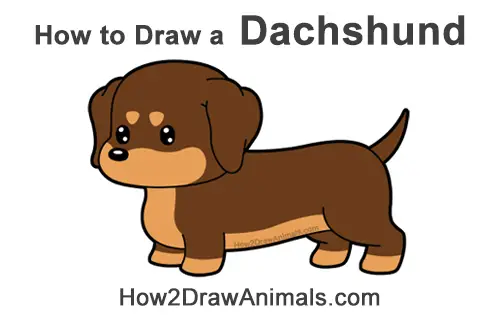 How to Draw a Cute Cartoon Dachshund Wiener Puppy Dog Chibi Kawaii