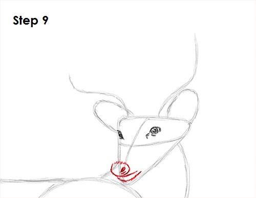 Draw White Tailed Deer 9