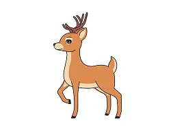 How to Draw a Cartoon Deer