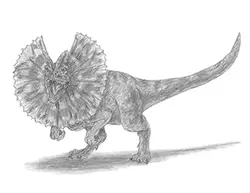 How to Draw a Dilophosaurus