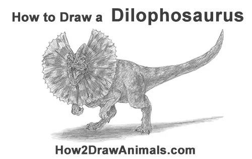 How to Draw a Dilophosaurus Dinosaur