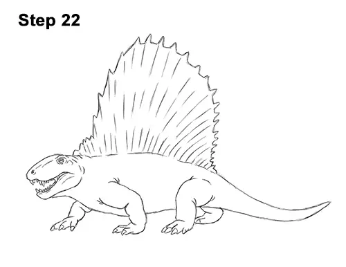 How to Draw a Dimetrodon VIDEO & Step-by-Step Pictures