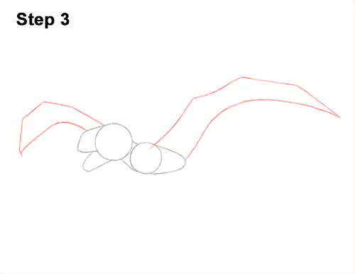 How to Draw a Dimorphodon Flying Dinosaur Pterosaur 3