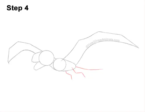 How to Draw a Dimorphodon Flying Dinosaur Pterosaur 4