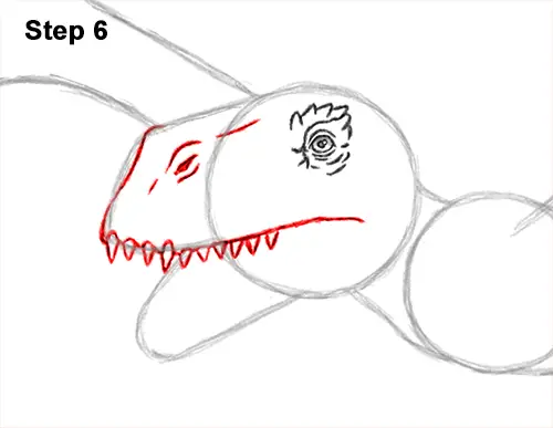 How to Draw a Dimorphodon Flying Dinosaur Pterosaur 6