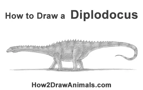 How to Draw Dinosaur Diplodocus Sauropod Apatosaurus Brachiosaurus