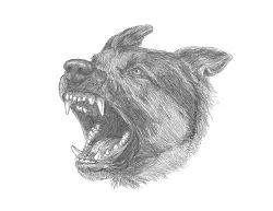 How to Draw a German Shepherd Dog Barking