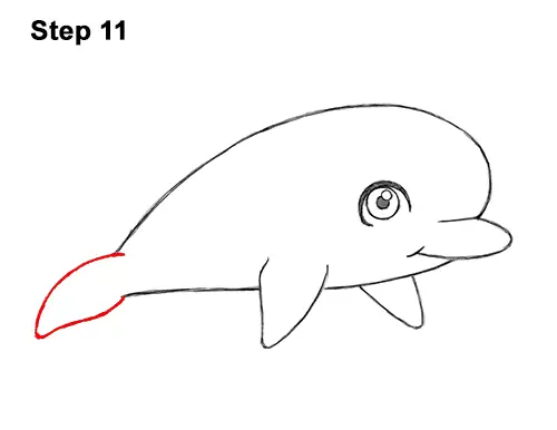 How to Draw Cute Cartoon Dolphin 11