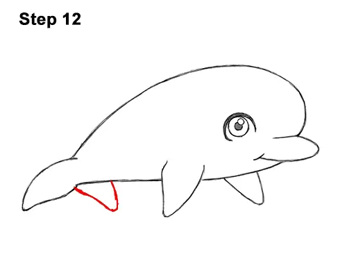 How to Draw Cute Cartoon Dolphin 12