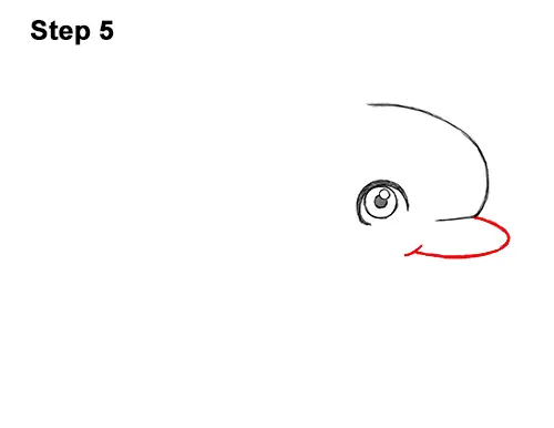 How to Draw Cute Cartoon Dolphin 5
