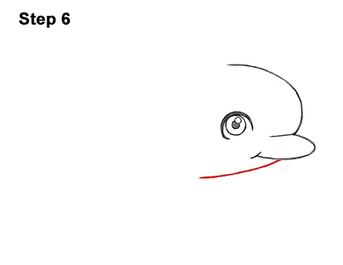 How to Draw Cute Cartoon Dolphin 6