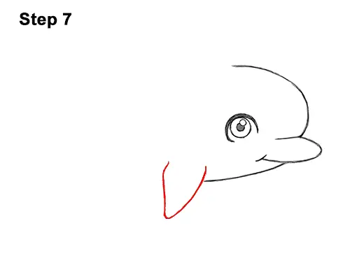 How to Draw Cute Cartoon Dolphin 7