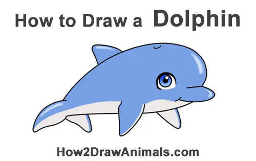 How to Draw Cute Cartoon Dolphin