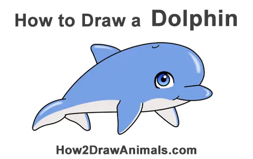 How To Draw A Cute Dolphin How To Draw A Cute Dolphin