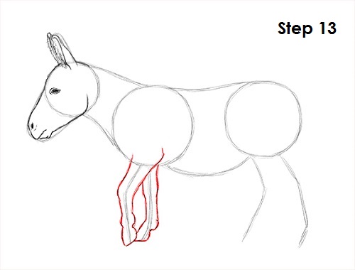 Donkey Drawing 13 Draw Donkey 13