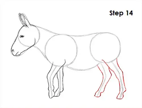 Donkey Drawing 14 Draw Donkey 14