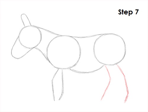 Donkey Drawing 7 Draw Donkey 7