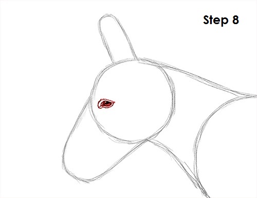 Donkey Drawing 8 Draw Donkey 8