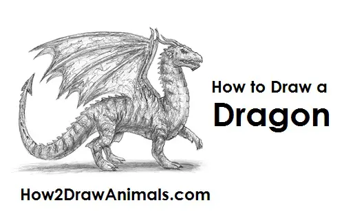 Draw Dragon