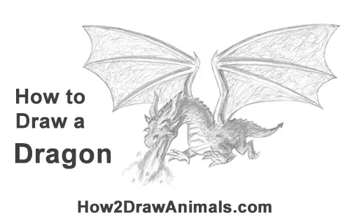 How to Draw Dragon Flying Fire Wings Flames