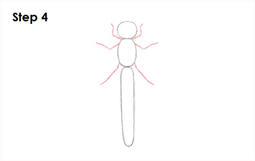 Dragonfly Drawing 4 Draw Dragonfly 4