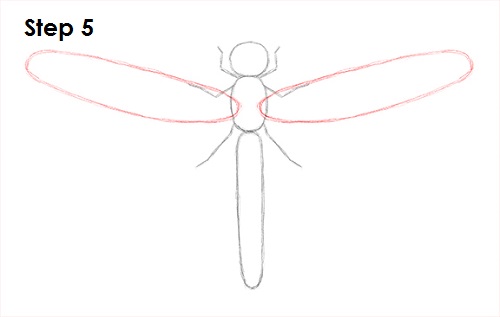 Draw Dragonfly 5