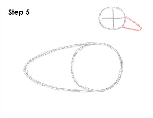 Duck Drawing 5 Draw Duck 5