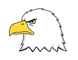 How to Draw a Bald Eagle Head Cartoon